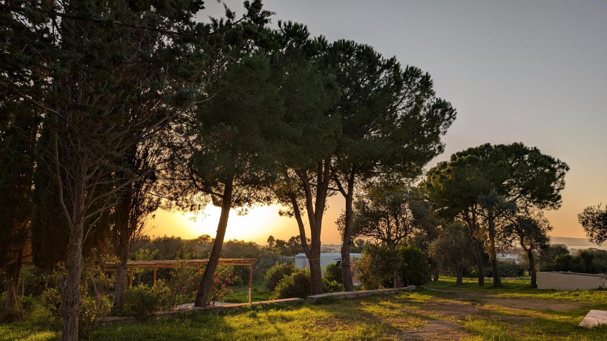Casale Valverde Alghero Bagian luar foto